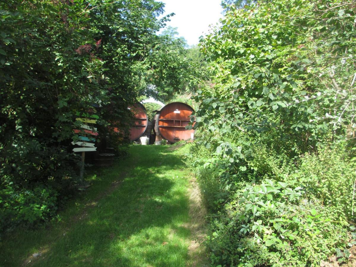 Foudres Du Chene Du Py Bed and Breakfast Villié-Morgon Eksteriør billede